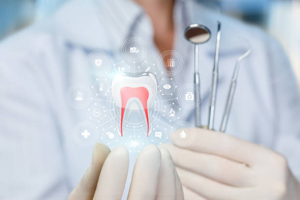 Reliable Falls Church, VA  Holistic Dental Services Solutions